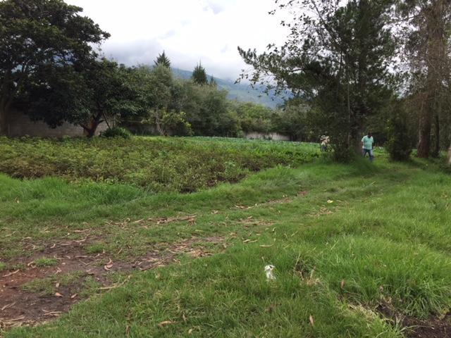Vendo Terreno en Puembo 7.173 m² Uso Suelo Recurso Natural Renovable $900.000 — imagen 7