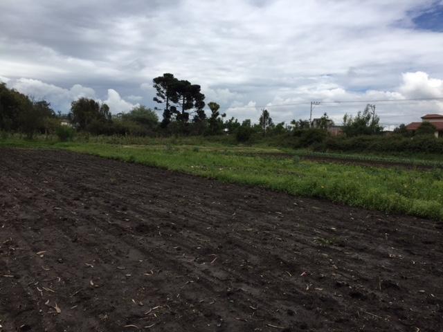 Vendo Terreno en Puembo 7.173 m² Uso Suelo Recurso Natural Renovable $900.000 — imagen 5