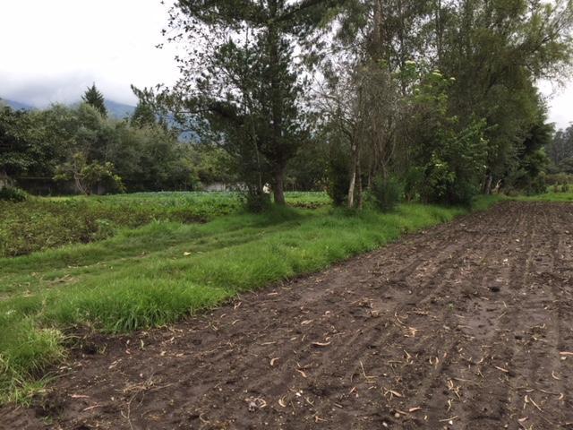 Vendo Terreno en Puembo 7.173 m² Uso Suelo Recurso Natural Renovable $900.000 — imagen 3