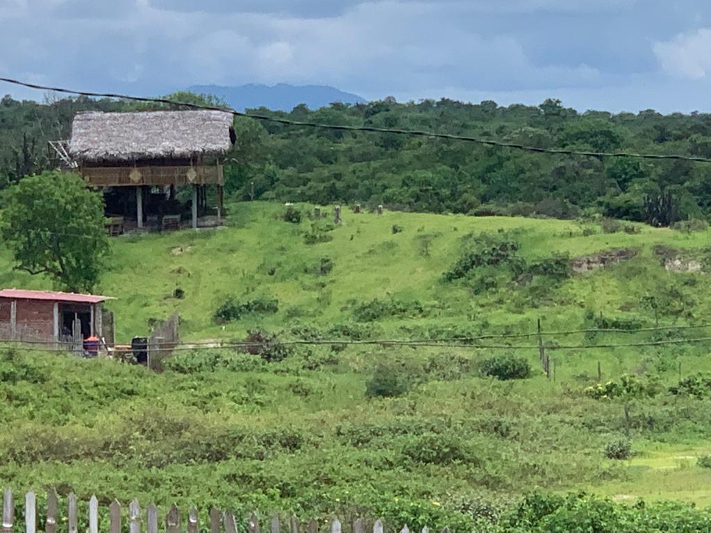 Terreno en Venta en San Jose Ruta del Spondilus, Manabí — imagen 8