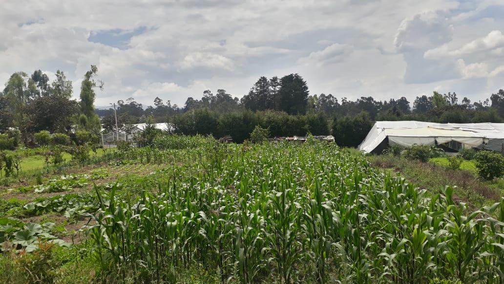 Vendo Propiedad en El Quinche - Sector La Esperanza — imagen 10