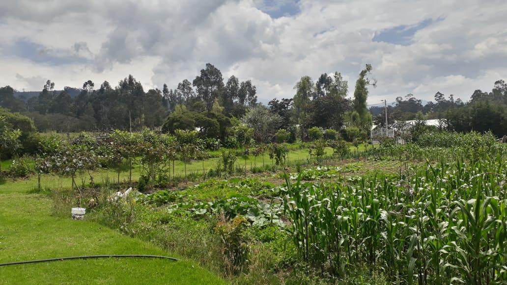 Vendo Propiedad en El Quinche - Sector La Esperanza — imagen 9