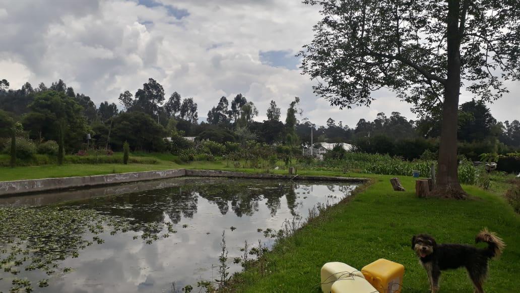 Vendo Propiedad en El Quinche - Sector La Esperanza — imagen 8