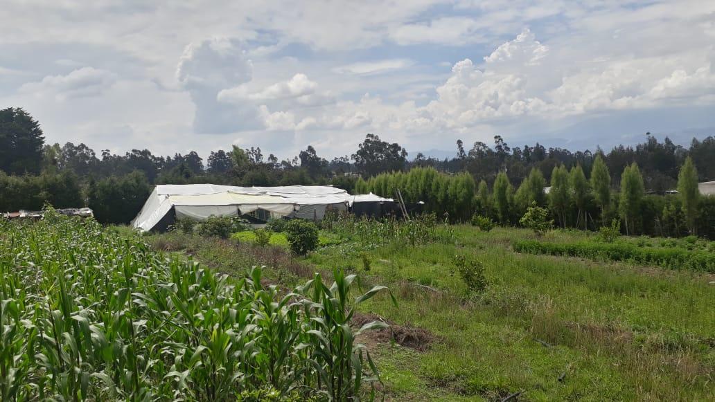 Vendo Propiedad en El Quinche - Sector La Esperanza — imagen 3