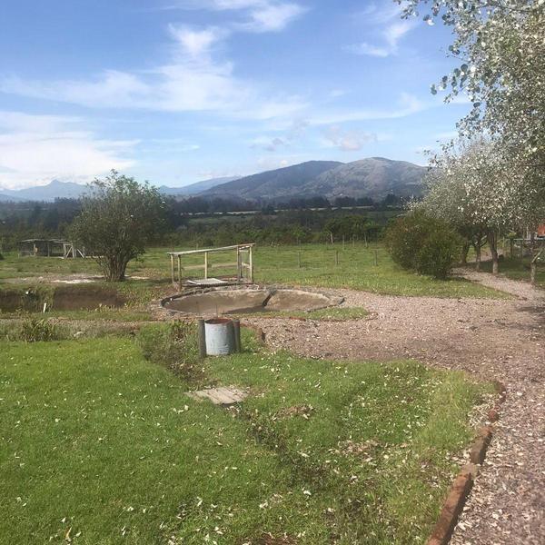Precioso Terreno en Pifo a La Venta 1.022.805! — imagen 9