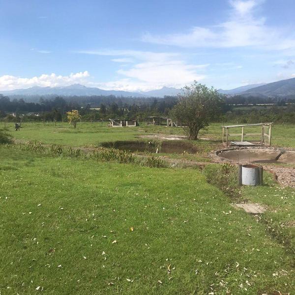 Precioso Terreno en Pifo a La Venta 1.022.805! — imagen 7