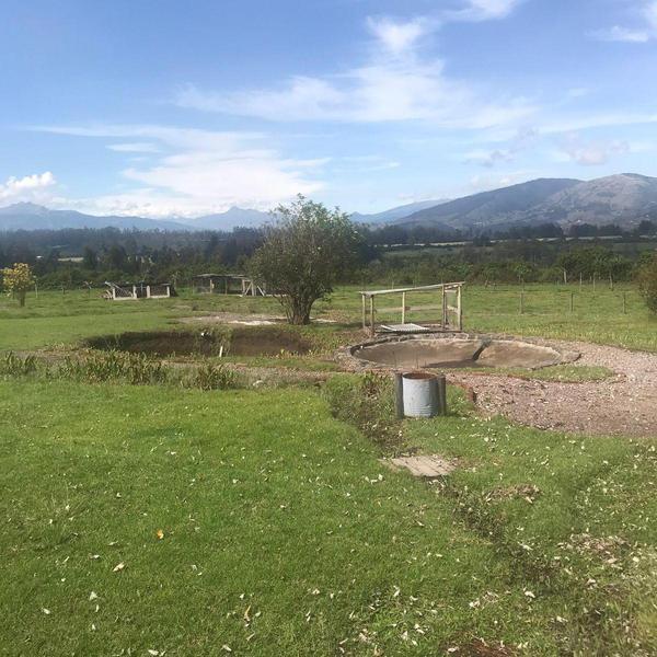 Precioso Terreno en Pifo a La Venta 1.022.805! — imagen 6