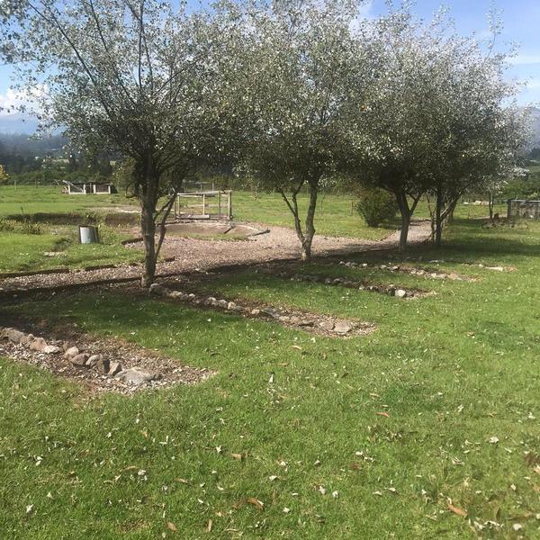 Precioso Terreno en Pifo a La Venta 1.022.805! — imagen 3