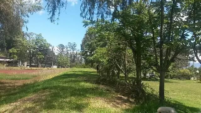 Vendo Terrenos de 1000 a 3000 m en Checa — imagen 10