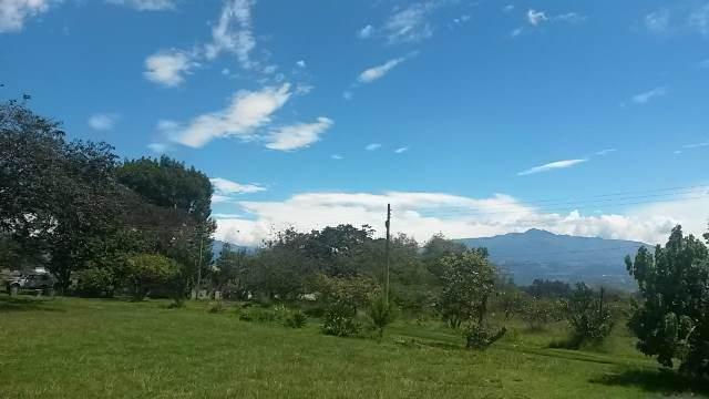 Vendo Terrenos de 1000 a 3000 m en Checa — imagen 9