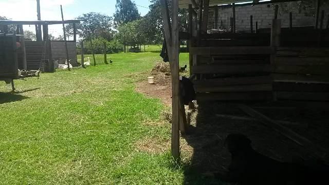 Vendo Terrenos de 1000 a 3000 m en Checa — imagen 7