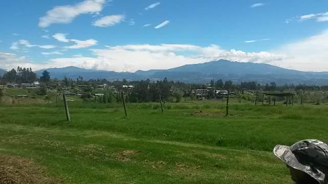 Vendo Terrenos de 1000 a 3000 m en Checa — imagen 6