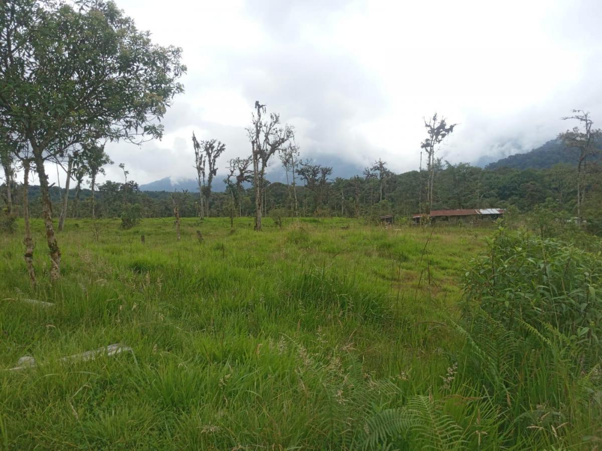 Vendo 58hc en Cosanga - Las Caucheras, Napo — imagen 4