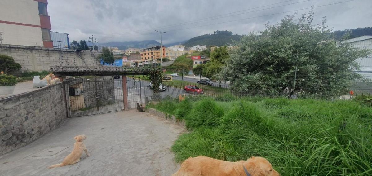 Se Vende Terreno Sector Av Occidental — imagen 9