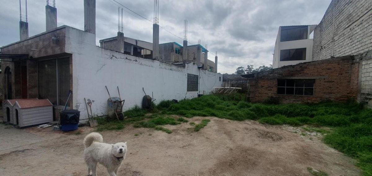 Se Vende Terreno Sector Av Occidental — imagen 8