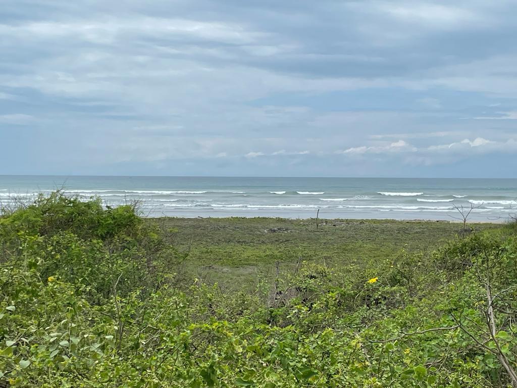 Terreno de 5.3 Hectáreas en Canoa Más 1522 de Terreno Frente a La Playa, Manabí — imagen 8