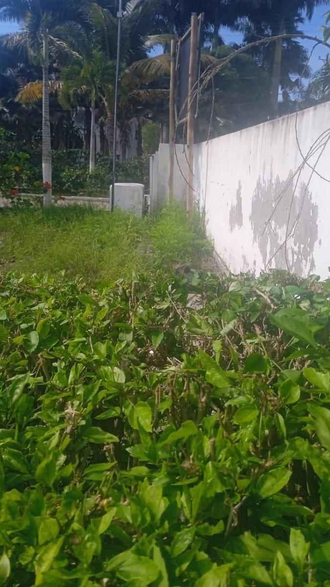 Se Vende Terreno en Casa Blanca - Same - Esmeraldas — imagen 10