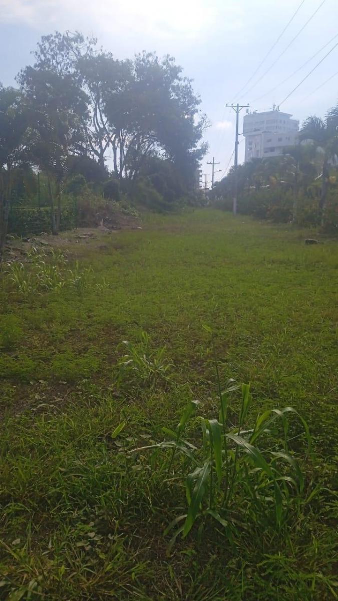 Se Vende Terreno en Casa Blanca - Same - Esmeraldas — imagen 9
