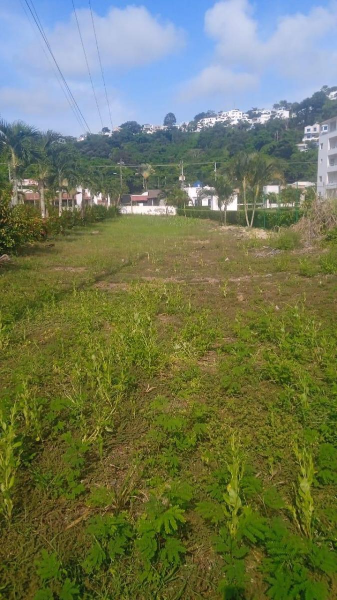 Se Vende Terreno en Casa Blanca - Same - Esmeraldas — imagen 8