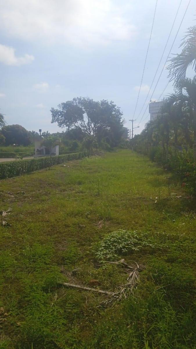 Se Vende Terreno en Casa Blanca - Same - Esmeraldas — imagen 7