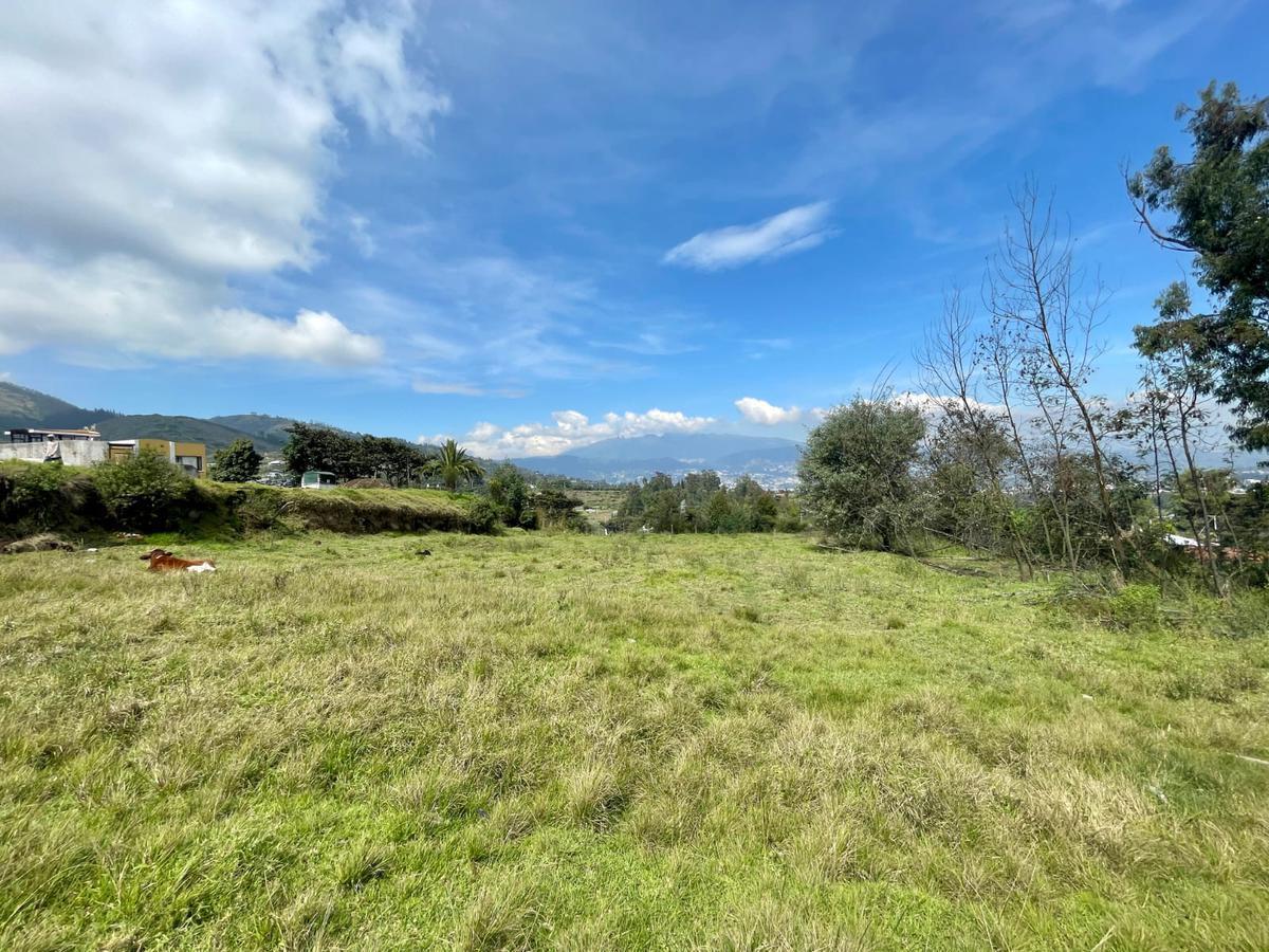 Terreno en Venta en Illaló - Tumbaco — imagen 5