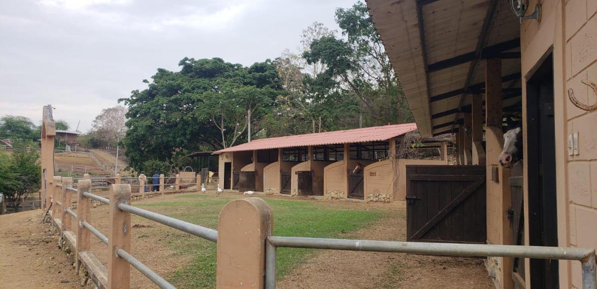 En Venta Finca en Vía a La Costa - Chongón - K. Aguirre, Guayas — imagen 8