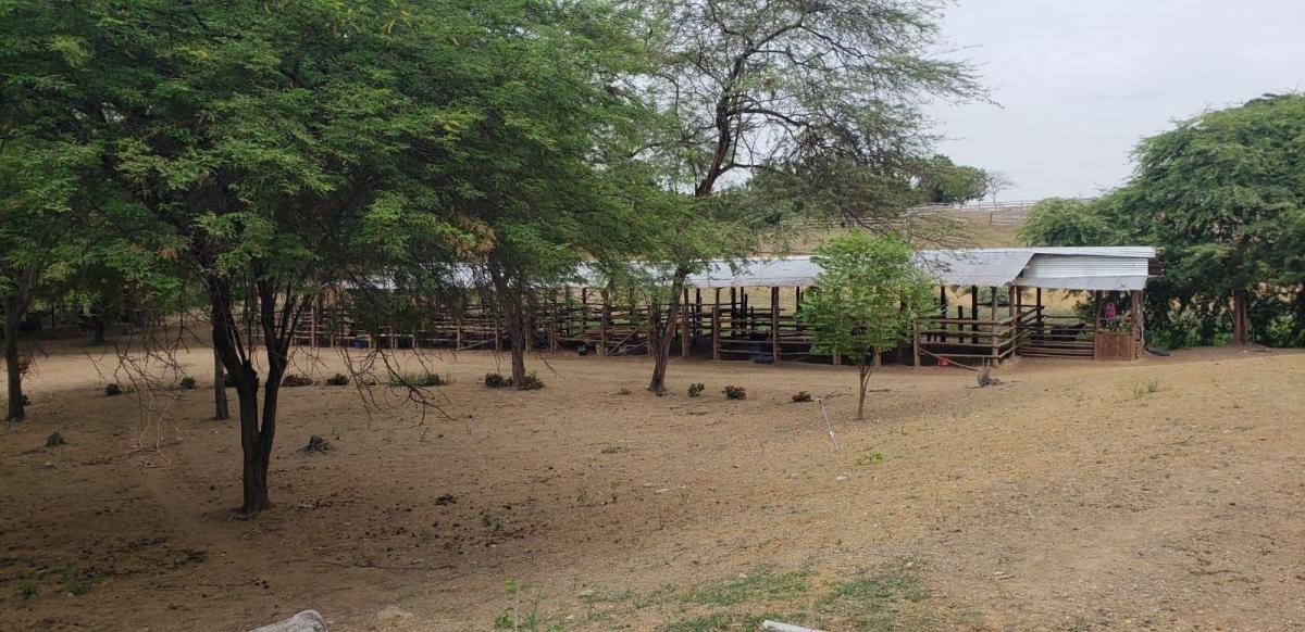 En Venta Finca en Vía a La Costa - Chongón - K. Aguirre, Guayas — imagen 6