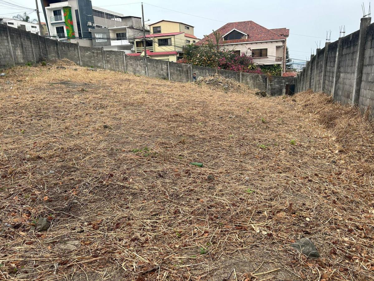 Terreno Grande en Bellavista - 3 Solares en 1 - con Cerramiento y Vereda, Guayas — imagen 7