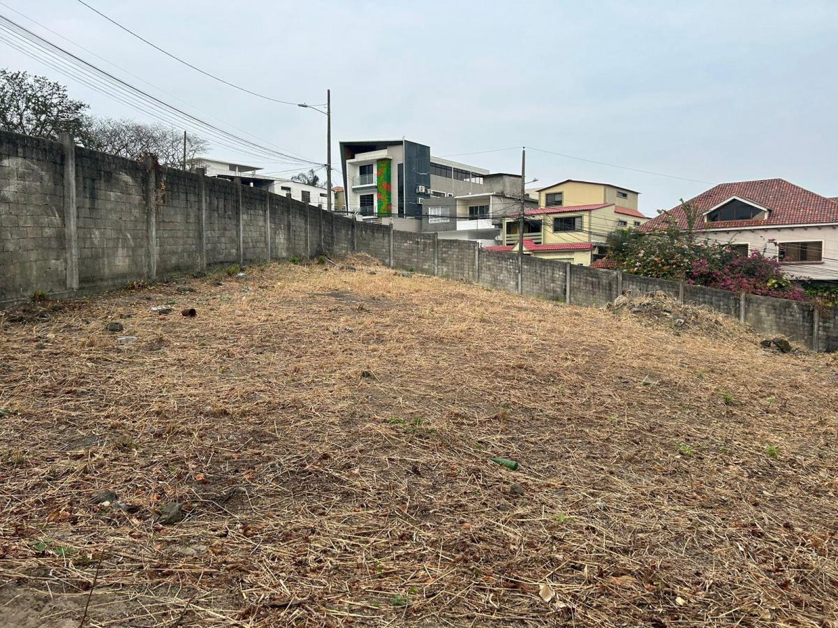Terreno Grande en Bellavista - 3 Solares en 1 - con Cerramiento y Vereda, Guayas — imagen 6
