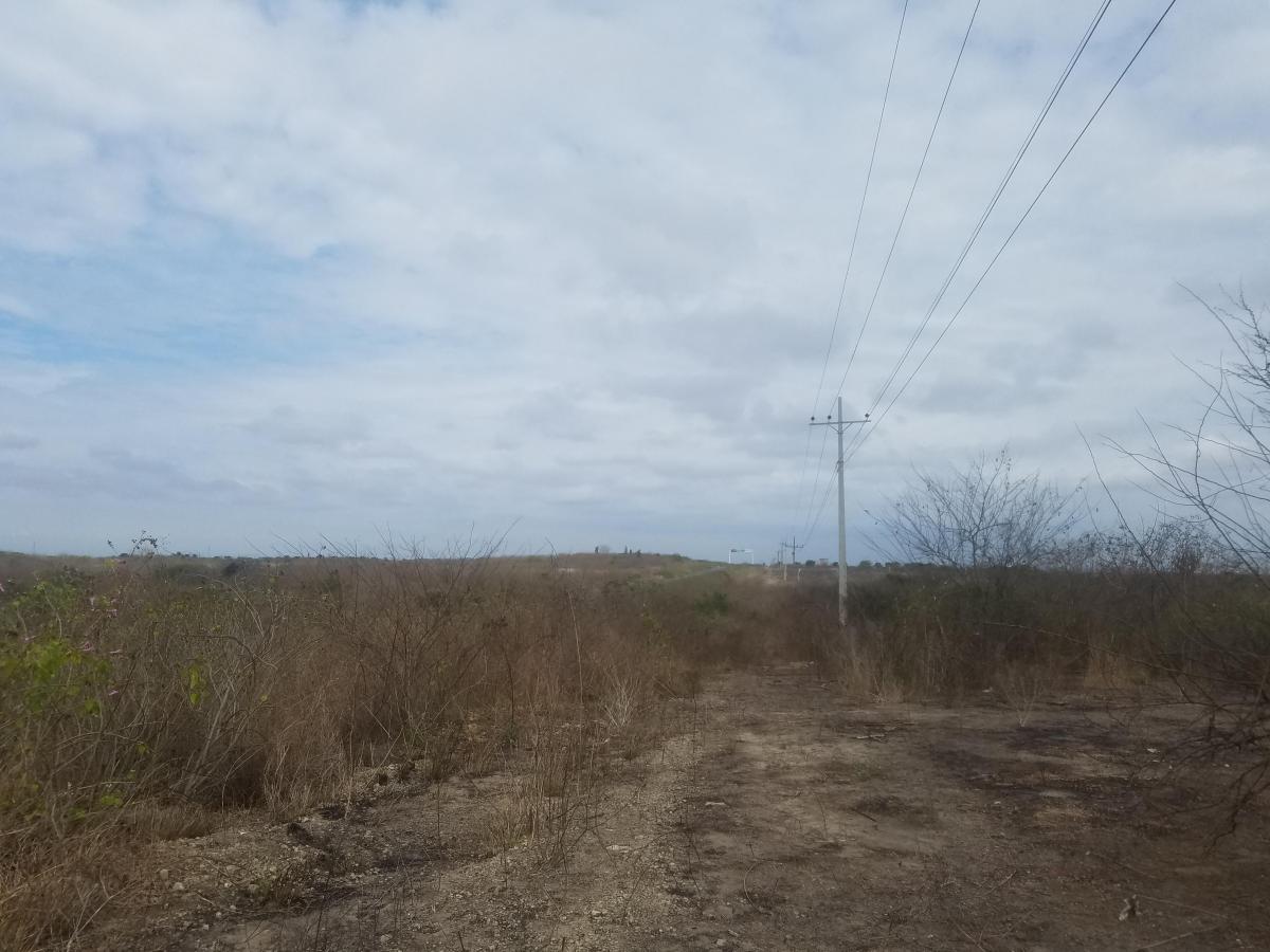 Macrolote en Venta en La Vía a San Vicente, Santa Elena — imagen 9