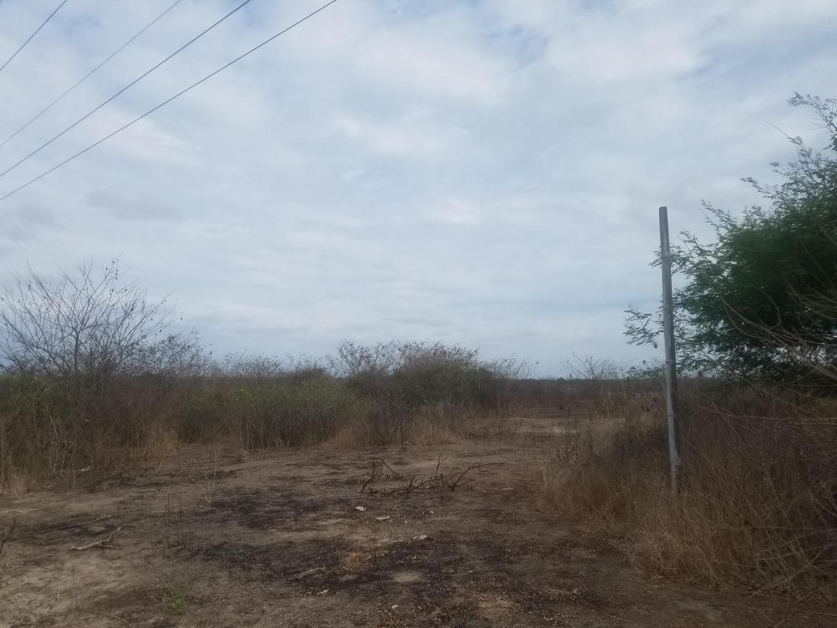 Macrolote en Venta en La Vía a San Vicente, Santa Elena — imagen 8