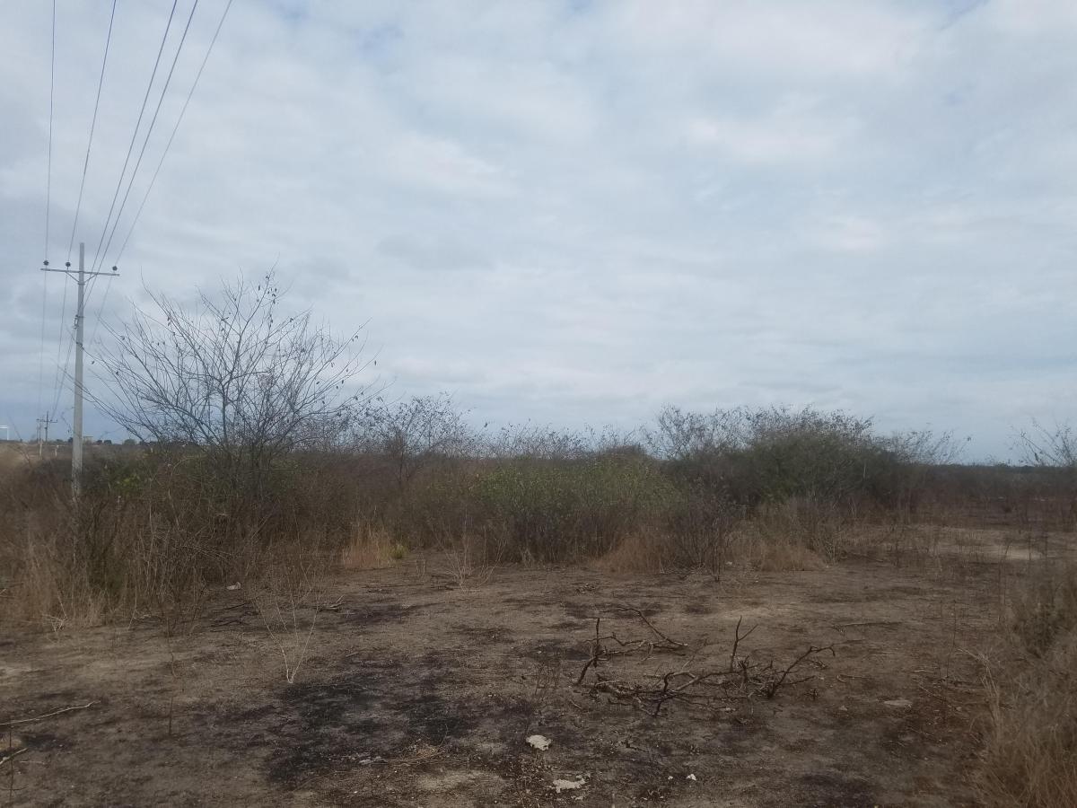 Macrolote en Venta en La Vía a San Vicente, Santa Elena — imagen 7