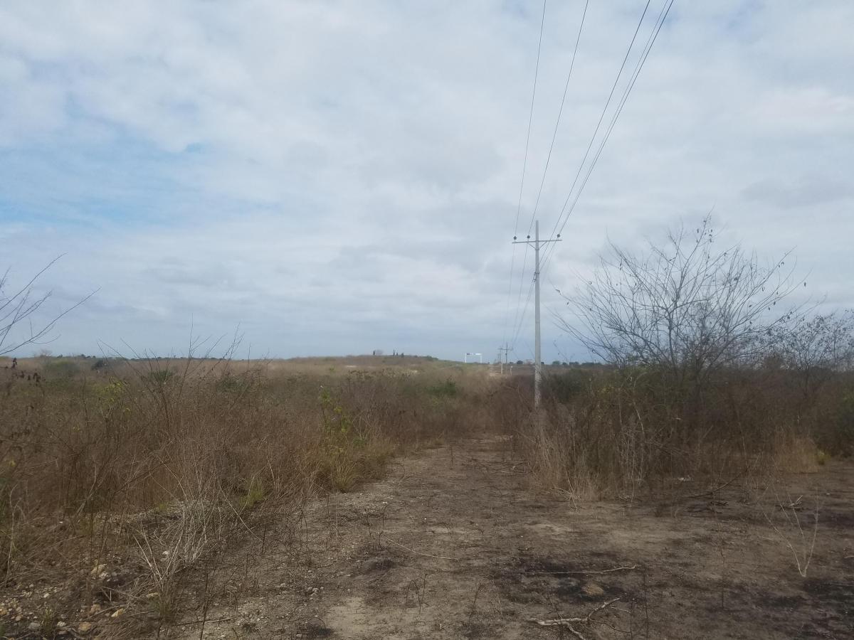 Macrolote en Venta en La Vía a San Vicente, Santa Elena — imagen 6