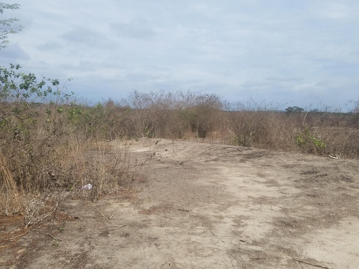 Macrolote en Venta en La Vía a San Vicente, Santa Elena — imagen 4
