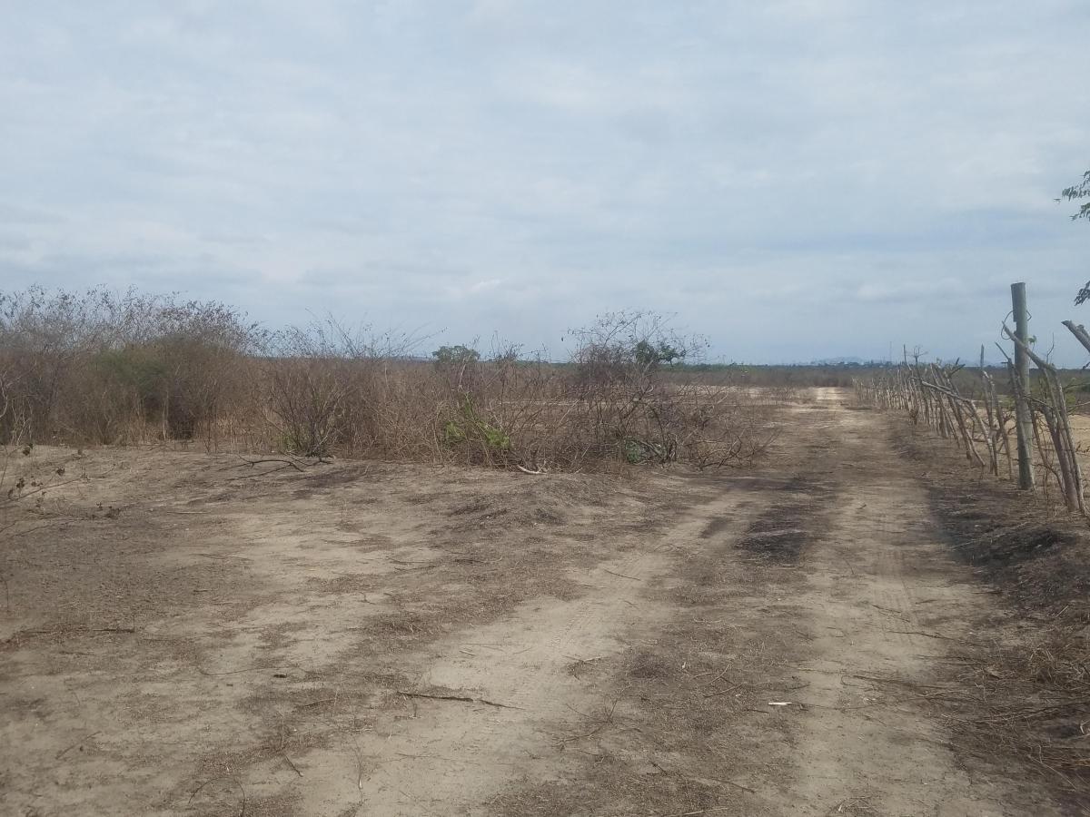 Macrolote en Venta en La Vía a San Vicente, Santa Elena — imagen 3