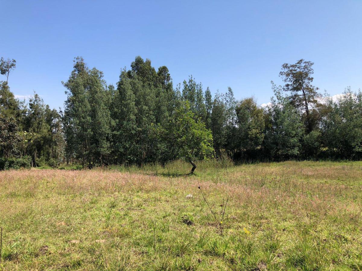 Terreno en Venta en Lumbisi, Cumbaya 6000 m, Excelente Ubicación y Precio — imagen 10