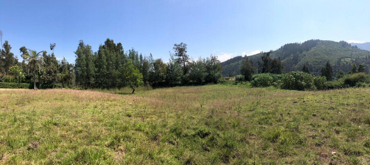 Terreno en Venta en Lumbisi, Cumbaya 6000 m, Excelente Ubicación y Precio — imagen 9