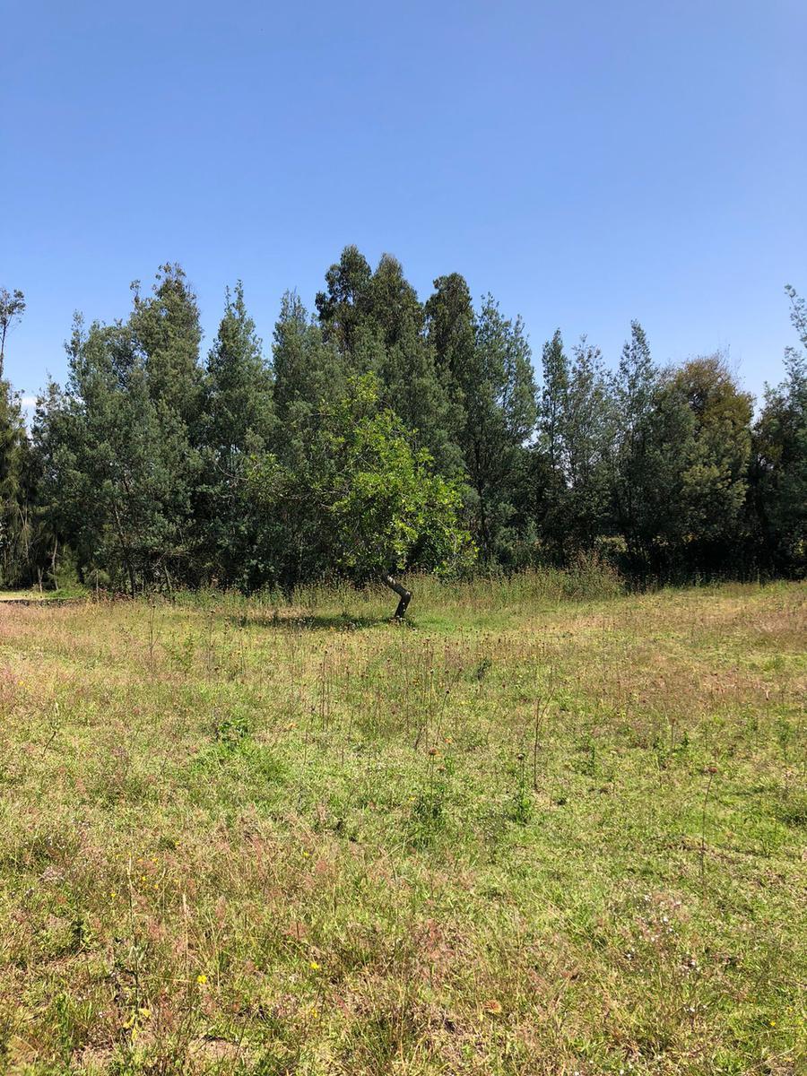 Terreno en Venta en Lumbisi, Cumbaya 6000 m, Excelente Ubicación y Precio — imagen 8