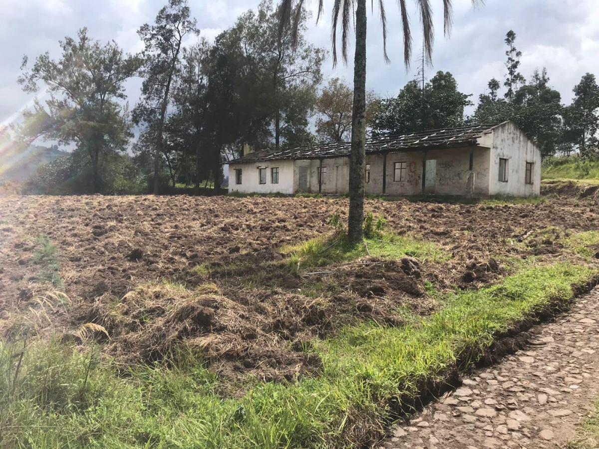 Terreno en Venta en Lumbisi, Cumbaya 6000 m, Excelente Ubicación y Precio — imagen 4