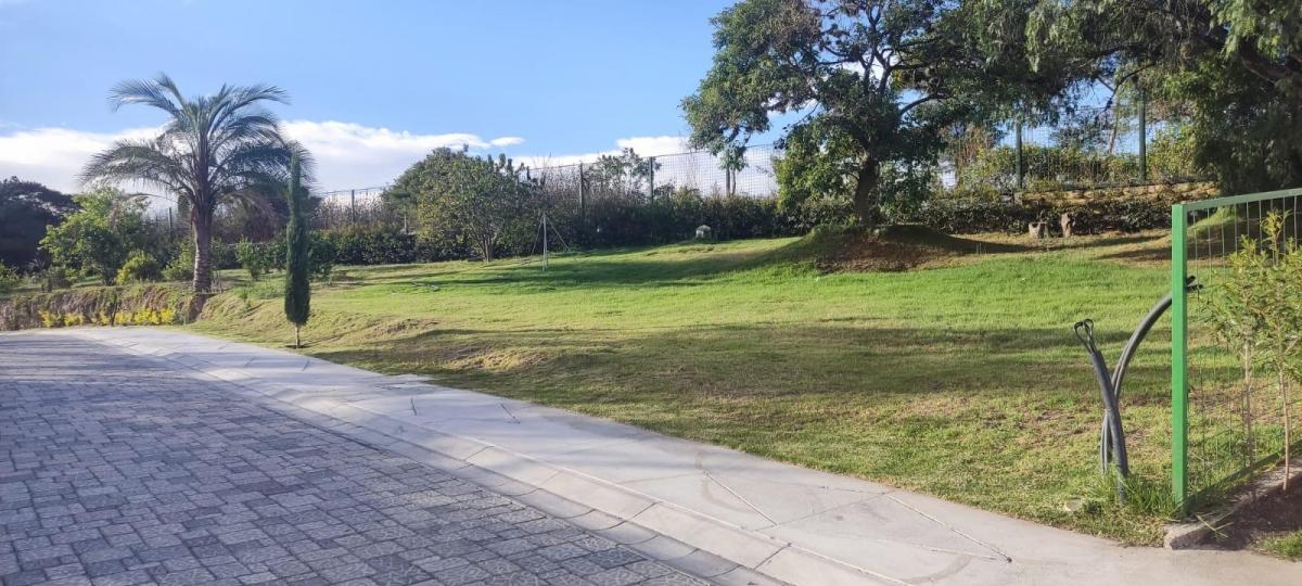 Disfruta de Vivir en Puembo — imagen 9