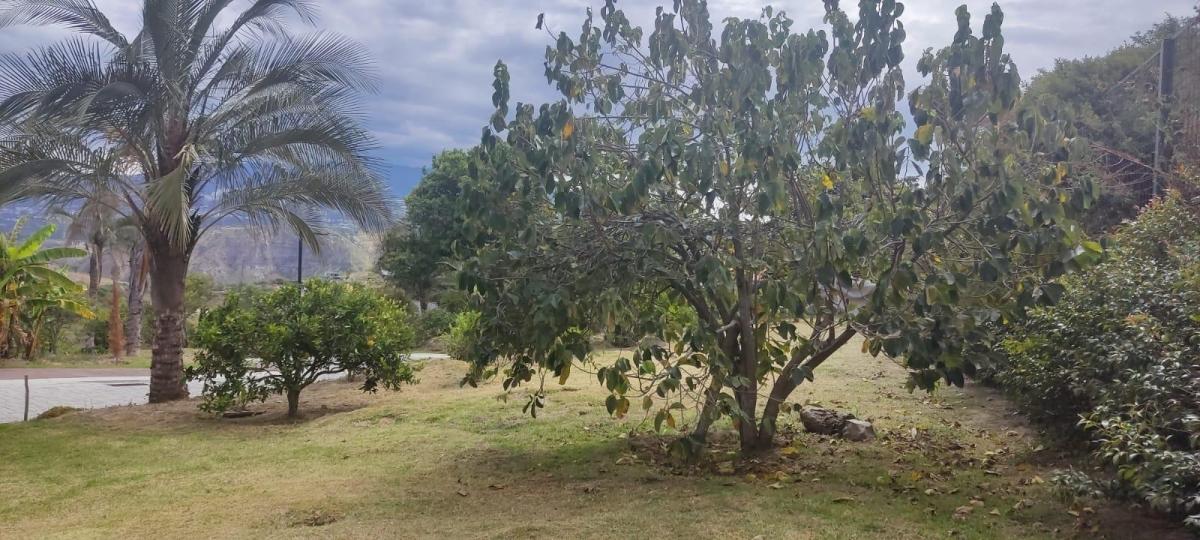 Disfruta de Vivir en Puembo — imagen 4