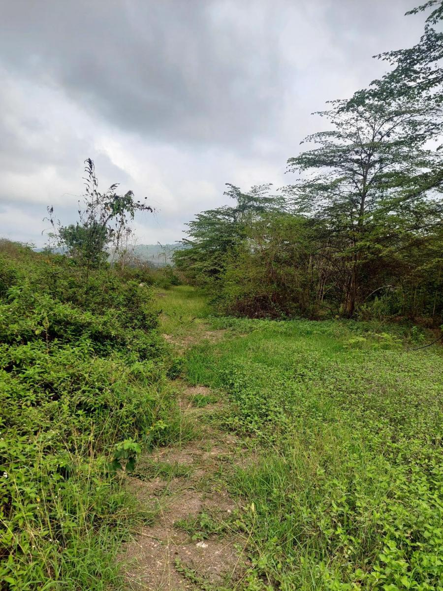 Venta de Terreno 20200 m² Comercial o de Vivienda en Via a La Costa Km 20, Guayas — imagen 5