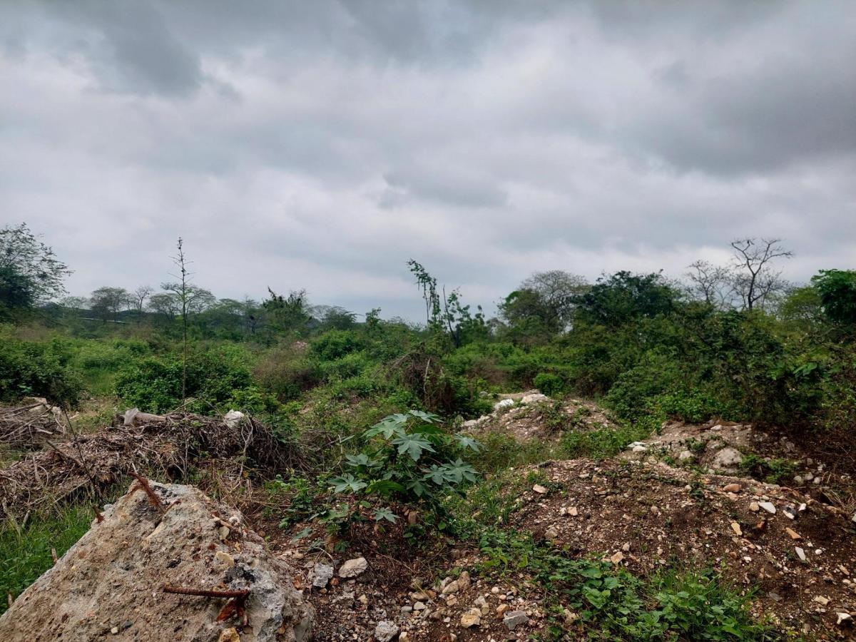 Venta de Terreno 20200 m² Comercial o de Vivienda en Via a La Costa Km 20, Guayas — imagen 4