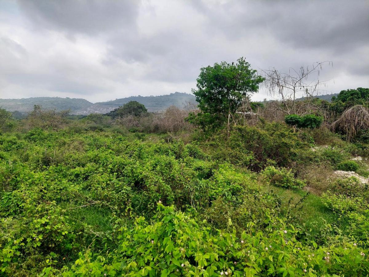 Venta de Terreno 20200 m² Comercial o de Vivienda en Via a La Costa Km 20, Guayas — imagen 3