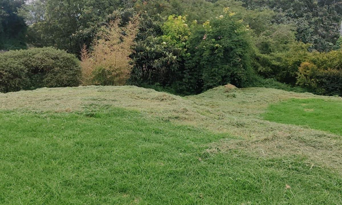 Terreno en Venta en Una de Las Mejores Urbanizaciones de Cumbaya — imagen 8
