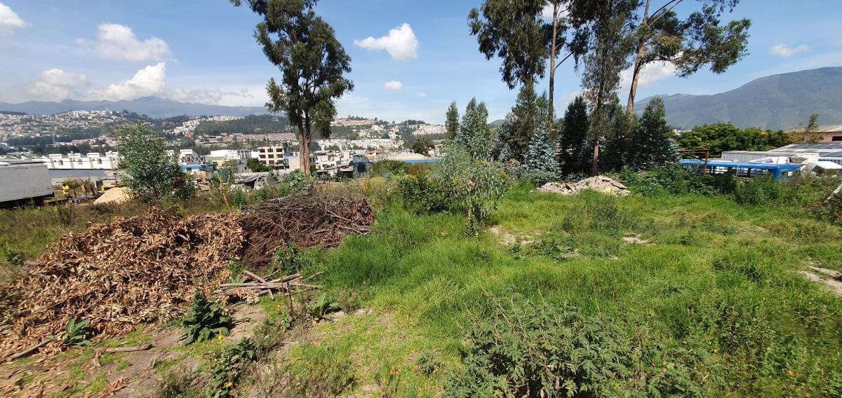 Se Vende Terreno en Calderon - Cerca a La Entrada del Puente a Carapungo — imagen 6