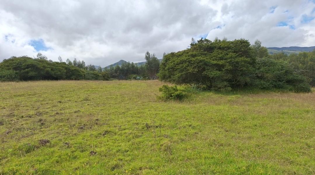 Se Vende Terreno en El Sector de Pifo El Inga - Carretera E35 — imagen 9
