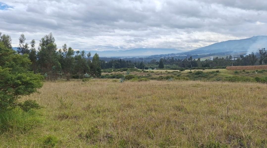 Se Vende Terreno en El Sector de Pifo El Inga - Carretera E35 — imagen 6
