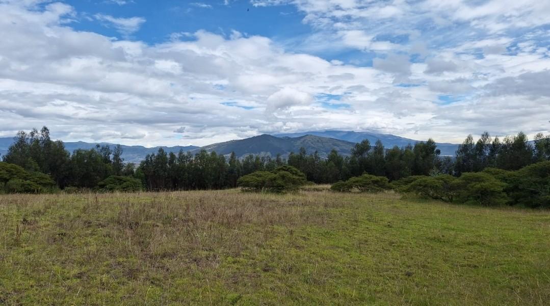Se Vende Terreno en El Sector de Pifo El Inga - Carretera E35 — imagen 5