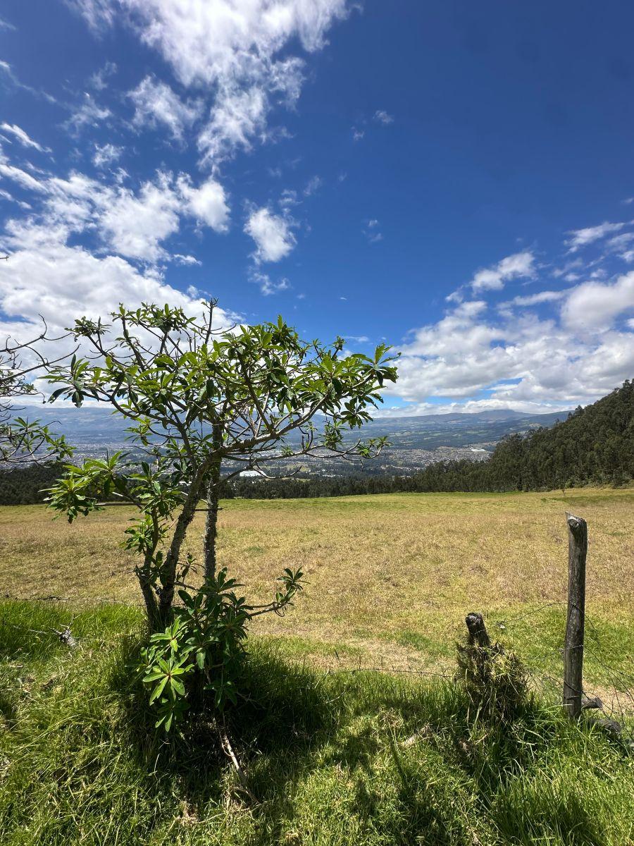 Hermoso Terreno de Venta en Amaguaña — imagen 8